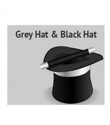 SEO Gray Hat, Black Hat y Penalizaciones