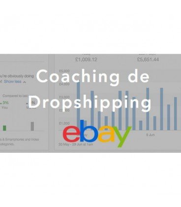 Curso de Dropshipping Ebay