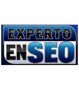 Experto en SEO