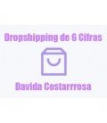 Dropshipping de 6 Cifras