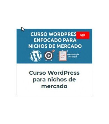 Curso Wordpress Para Nichos de Mercado